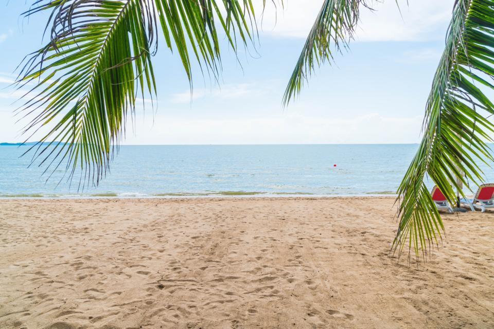 palm-tropical-beach-pattaya-thailand.jpg